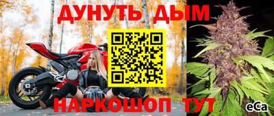 соль ск Новокубанск