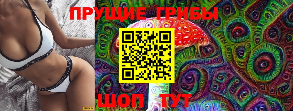 Псилоцибиновые грибы Cubensis Севастополь